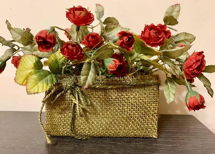 Гостевой дом Venis House