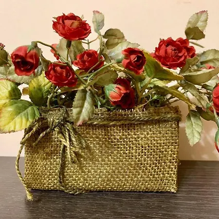 게스트하우스 Venis House