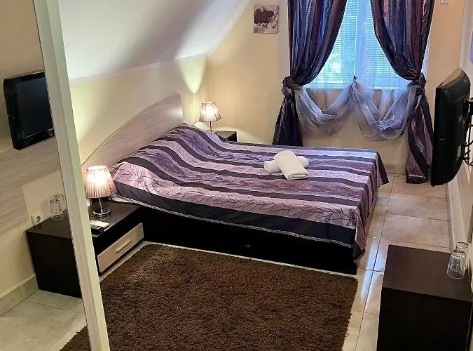 Къща за гости Venis House